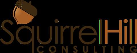Jobs in Squirrel Hill Consulting - reviews